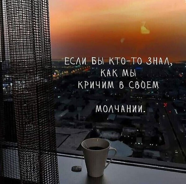 ���� - 20 ������� 2023 � 07:19