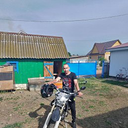 ������, �����������, 36 ���