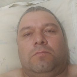 ��������, �����-���������, 50 ���