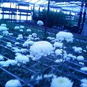 ���� ���������, ����������� ����, 50 ��� - ��������� 14 ����� 2023