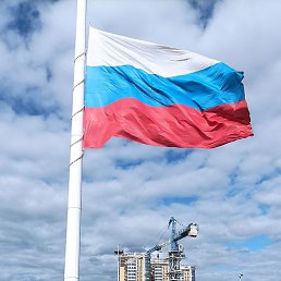 ��������, �������, 41 ���