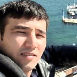 Mirko, �����������, 31 ���