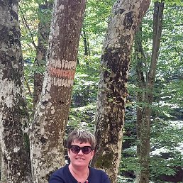 ����, ����, 51 ���