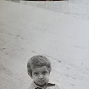 ���� �������, �������, 41 ��� - ��������� 3 ����� 2023