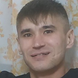 ������, ���������, 33 ����