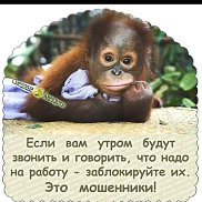 ����� ������ ����, 45 ���, ������