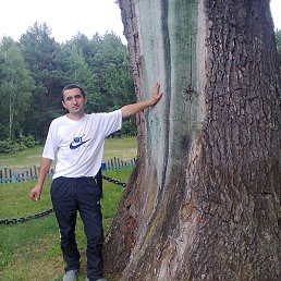 ����, �����, 44 ����