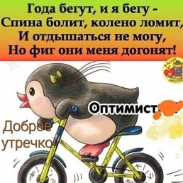 ���� ������, ������, 38 ��� - ��������� 19 ������� 2023