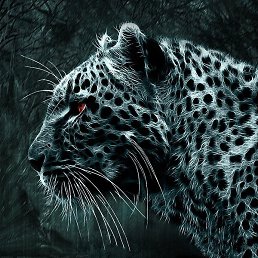 ����, ������, 35 ���