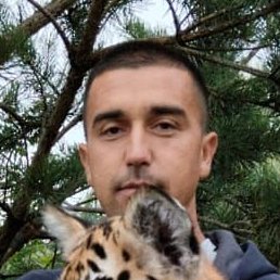 �����, ������, 34 ����