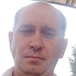 ,  , 44 