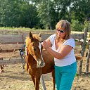 ���� ��������, ������� - ��������� 24 ������� 2023 � ������ ���� ����������