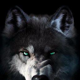 ���� ������, ��������, 45 ��� - ��������� 8 ��� 2023