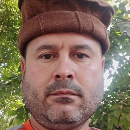 ����, ������, 38 ���