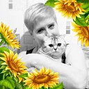 ���� ����, ������, 50 ��� - ��������� 4 ����� 2023