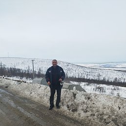 ������, �����������, 37 ���