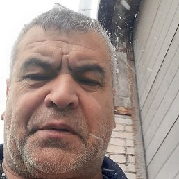 ����, �����-���������, 53 ����