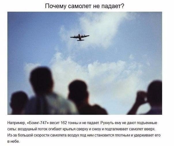    ,    . - 2