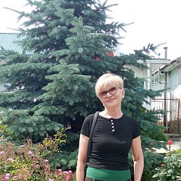 ���� �������, ����������, 59 ��� - ��������� 9 ���� 2023