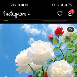 ����, �����, 52 ����