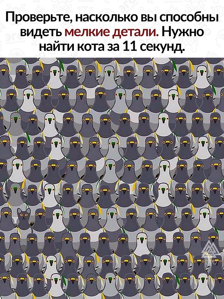          10-11 .  ,     ...