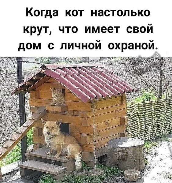   - 17  2023  19:04