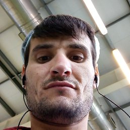 �����, ���������, 31 ���