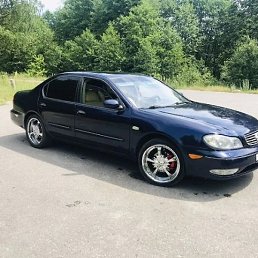 �����, ������, 37 ���