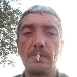 ������, ������, 44 ����