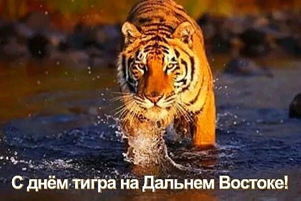 Именины: Евдокия, Роман, Герман, Виктор, Ия, Сергей, Николай, Лев, Карп, Дмитрий, Петр - 4