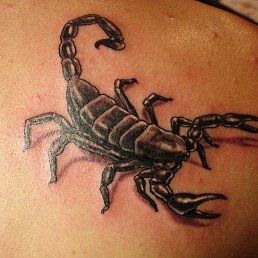 ���� ������, ���������, 49 ��� - ��������� 2 ������� 2023