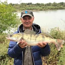 ���� ����, ������, 55 ��� - ��������� 21 ����� 2023