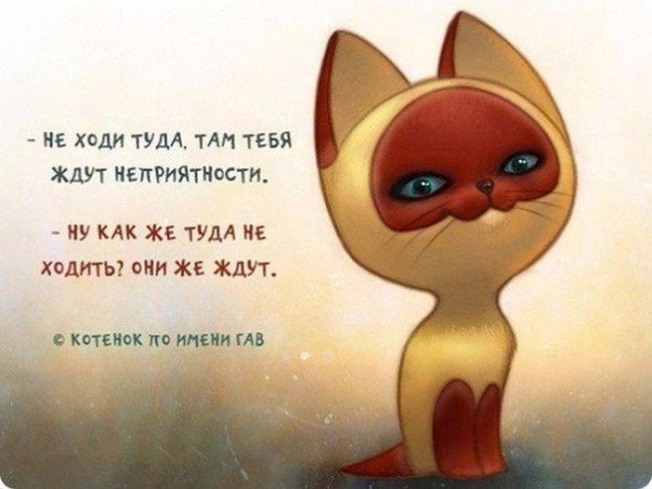 ☆☆☆  XX  ☆☆☆ - 23  2023  12:40
