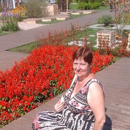 ���� �������, ������, 61 ��� - ��������� 5 ������� 2023