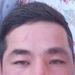 ������, ��������, 39 ���