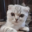 ���� �������, �����, 45 ��� - ��������� 29 ����� 2023