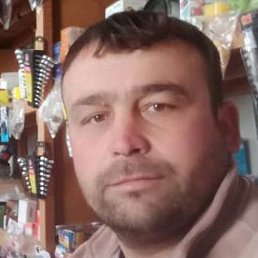 ����, �����-���������, 37 ���