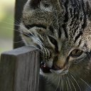  Aleksandr, , 49  -  12  2023