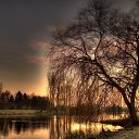 ���� �������, ����������, 61 ��� - ��������� 28 ����� 2023 � ������ ������ ��������