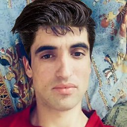 ����, �������, 41 ���