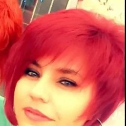 �����, ������, 41 ���