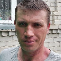 �����, ���������, 40 ���