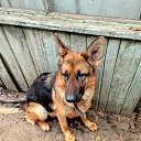 ���� �������, ���������, 64 ���� - ��������� 12 ���� 2023