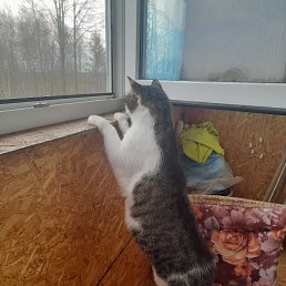 ���� ���, �����-���������, 55 ��� - ��������� 21 ������� 2023