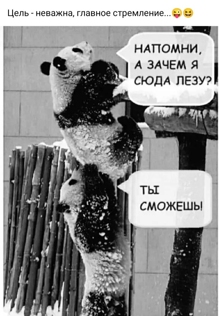 ***Victoria Viktorovna*** - 17  2023  13:56