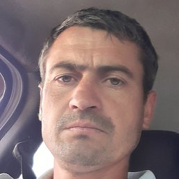 ��������, �������, 40 ���