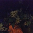 ���� �����, ������ - ��������� 12 ������� 2023 � ������ ���� ����������