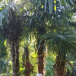 ������, ������, 53 ����