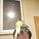 ���� �����, ������, 37 ��� - ��������� 14 ������� 2023 � ������ ���� ����������