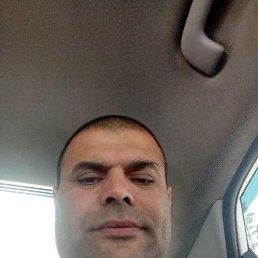 ���� ��������, ������, 41 ��� - ��������� 1 �������� 2023